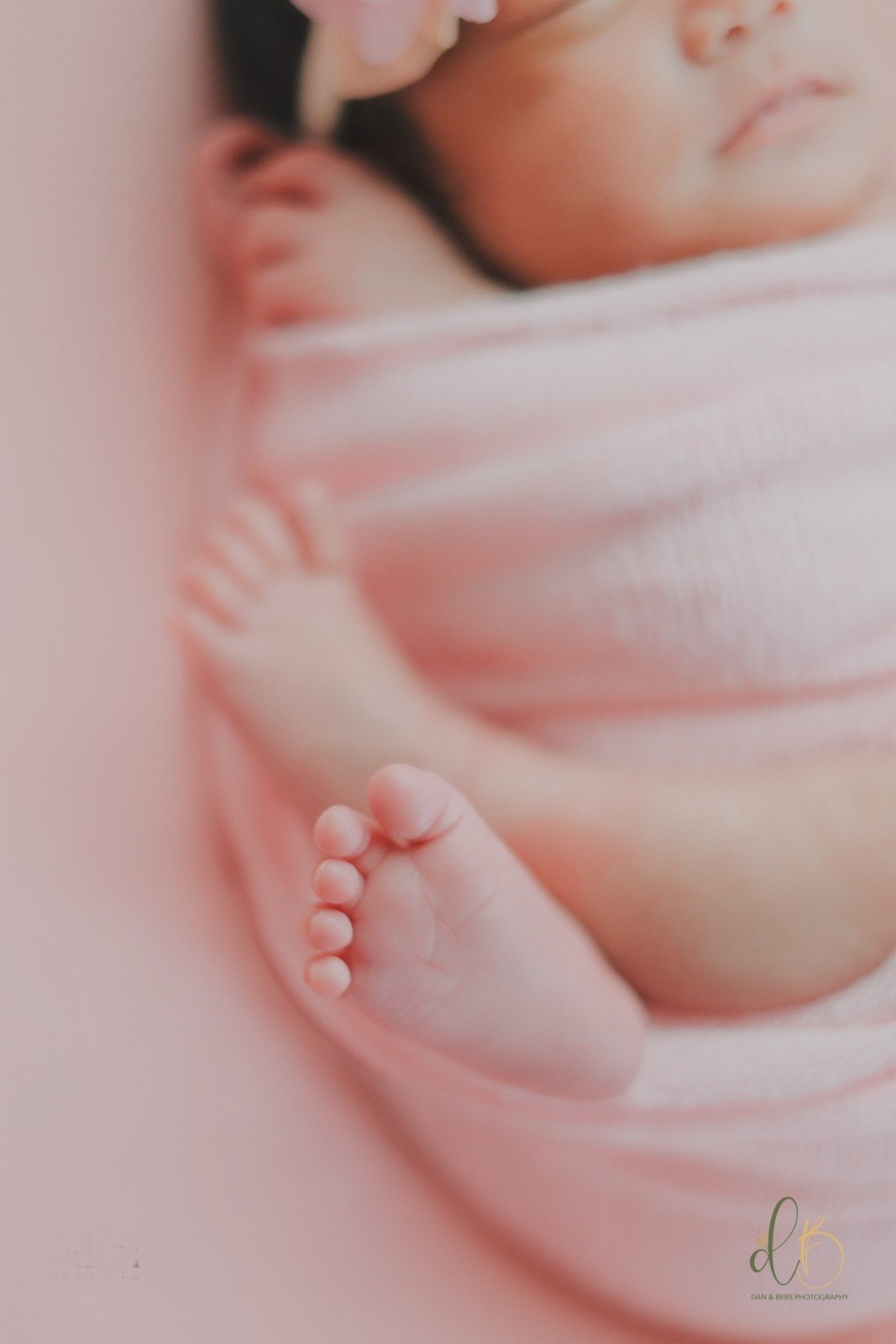 New Born Session