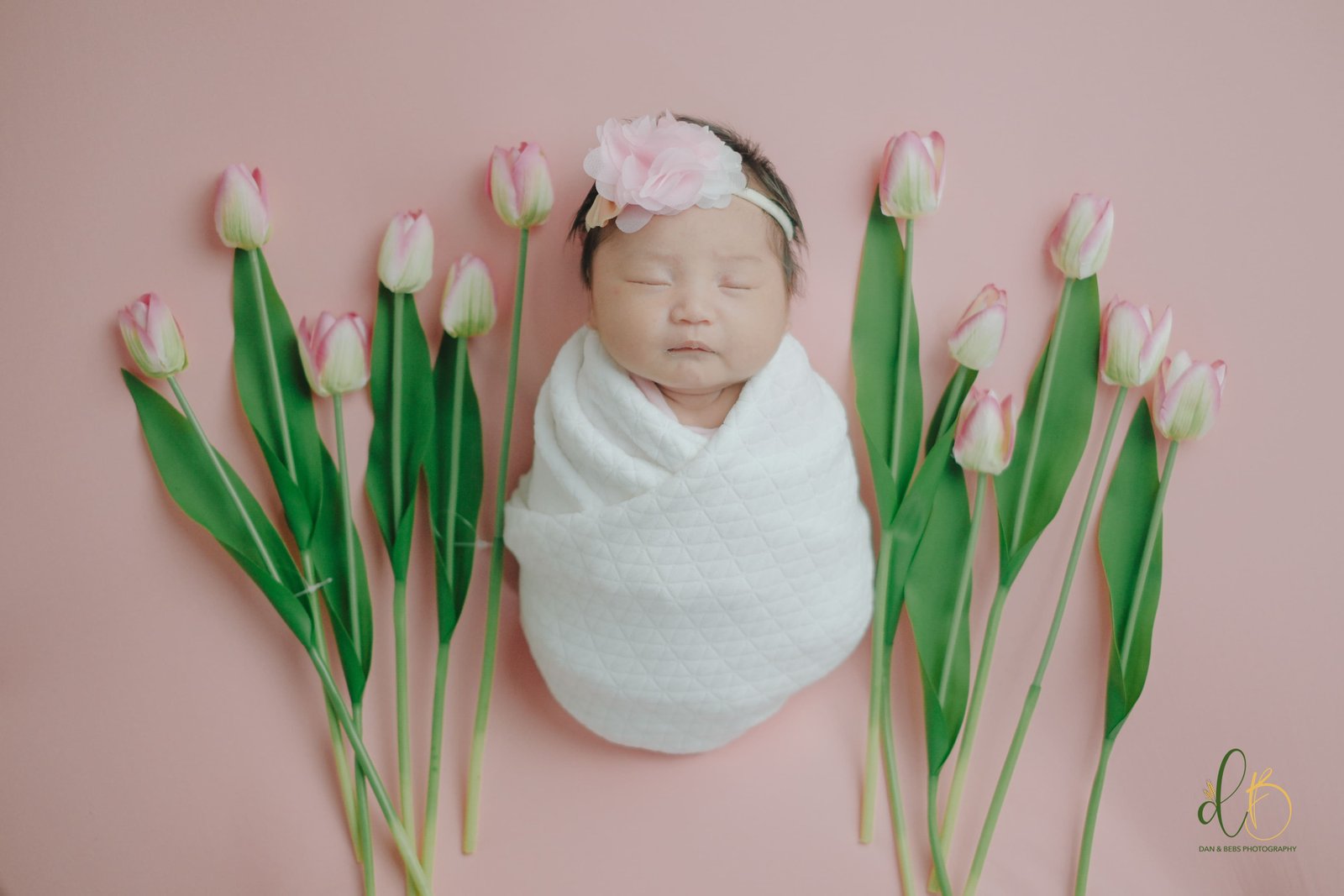 New Born Session